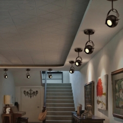 Đèn LED gắn trần chiếu điểm chỉnh góc E27 trang trí quầy bar nhà hàng quán cafe shop thời trang phong cách cổ điển vỏ đen TL-SPL043