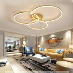 Đèn LED ốp trần phòng ngủ phòng khách hiện đại chiếu sáng trang trí phong cách Bắc Âu TL-DT123