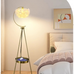 Đèn sàn lông vũ cao cấp LED E27 thân sắt mạ vàng trang trí phòng ngủ căn hộ chung cư biệt thự hiện đại TL-YN6668